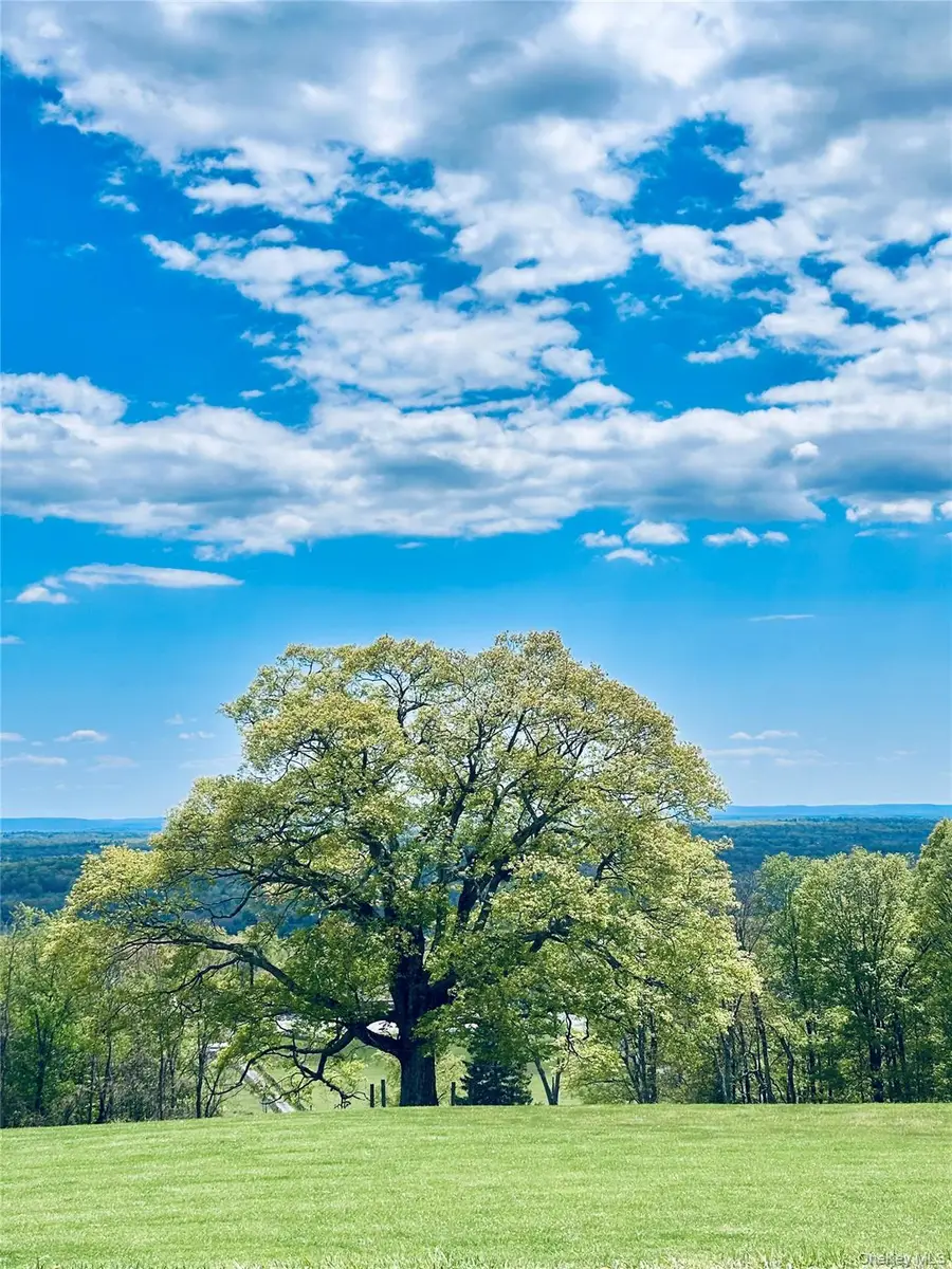 4 Rachel Court, Bloomingburg, NY 12721 - #2