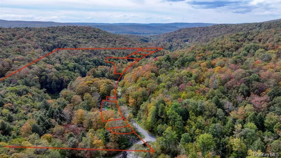 Grooville Road, Livingston Manor, NY 12758 - #2
