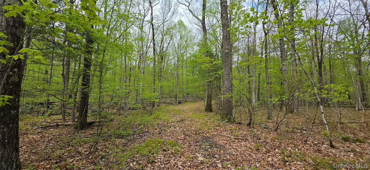 Lot 23.21 State Route 97, Narrowsburg, NY 12764 - #1