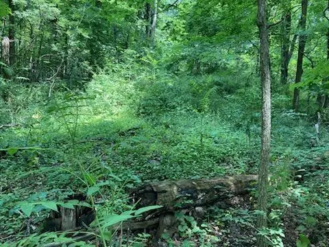 #2
