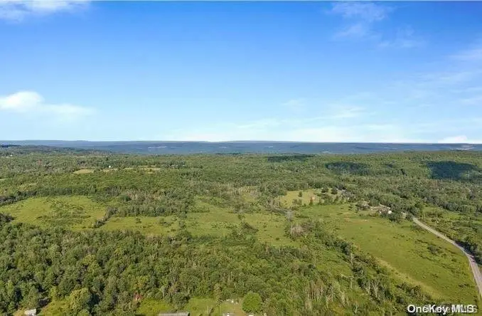 L8. 111 Churches Rd Ridges, Other, NY 12053 - #2