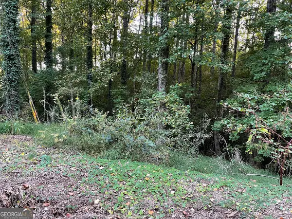 5992 Little Mountain Drive, Ellenwood, GA 30294