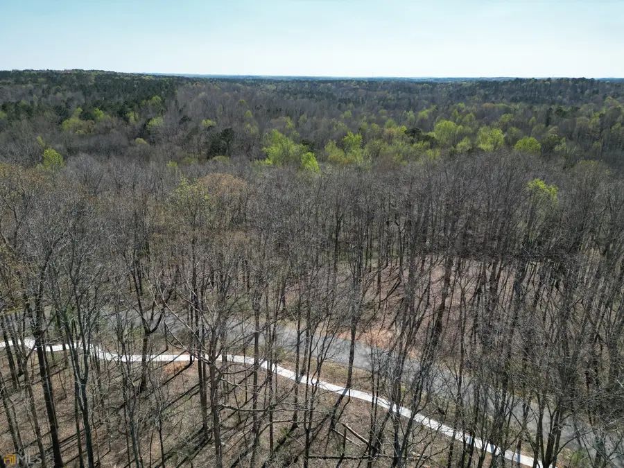 1069 Lupo Loop, Chattahoochee Hills, GA 30268 - Image #2