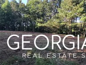 4143 Talking Rock Road, Talking Rock, GA 30175 - Image #3