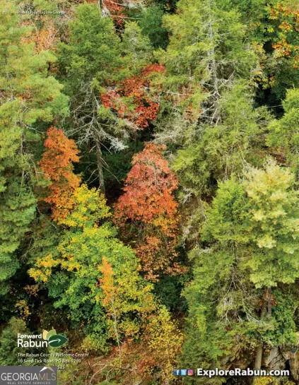 LOT 29 Raven Ridge Road, Clayton, GA 30525 - Image #2