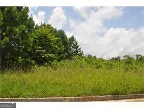 298 Randall Drive, Rockmart, GA 30153 - Image #3