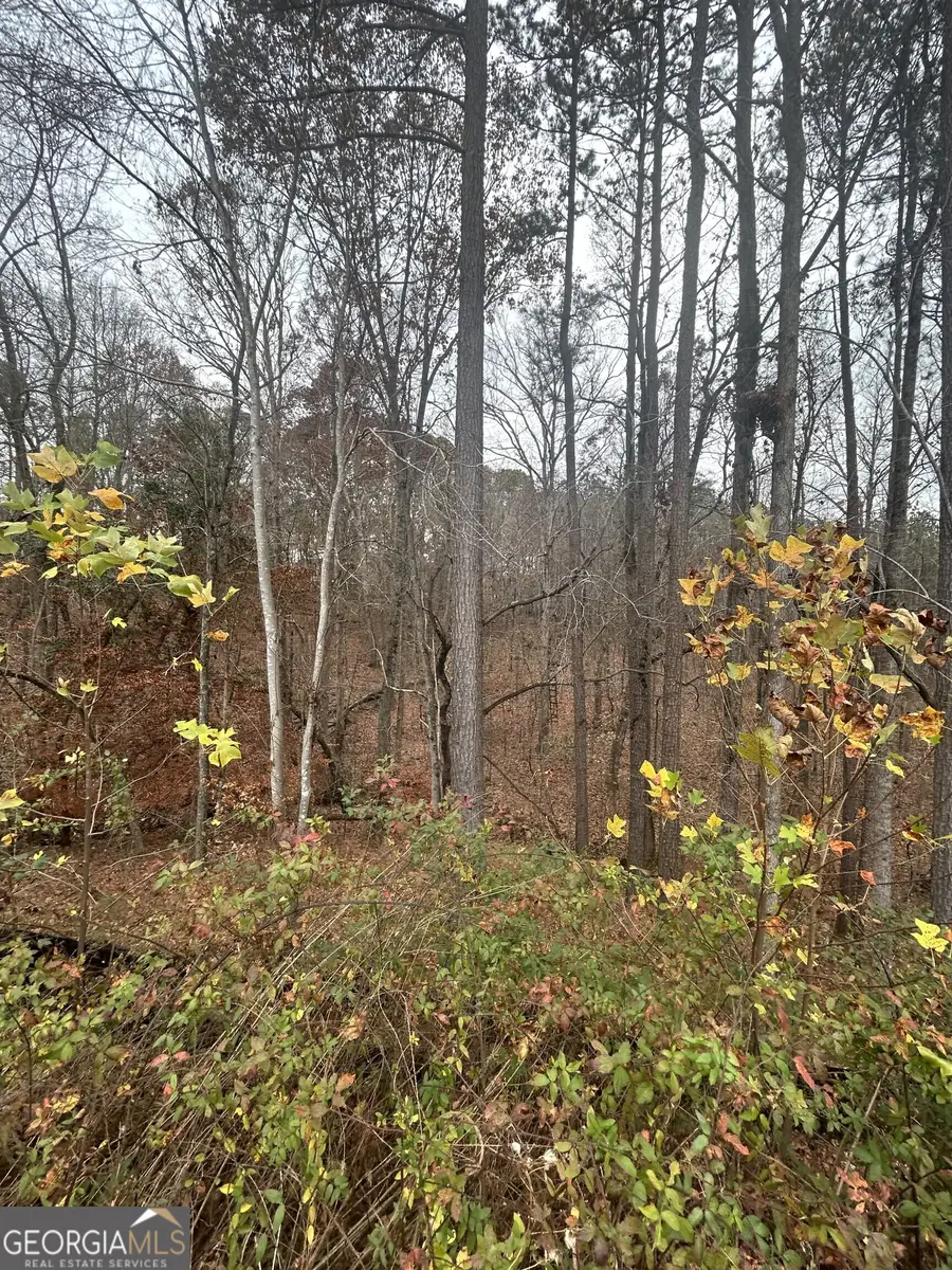 70 Wood Chuck Court, Auburn, GA 30011 - Image #3