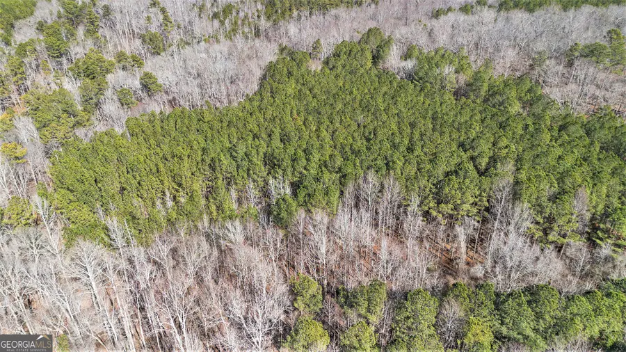 467 Rivers Road, Fayetteville, GA 30214 - #3