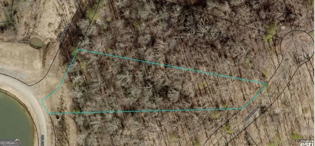 0 Trick Wake Street, Talking Rock, GA 30175 - Image #1