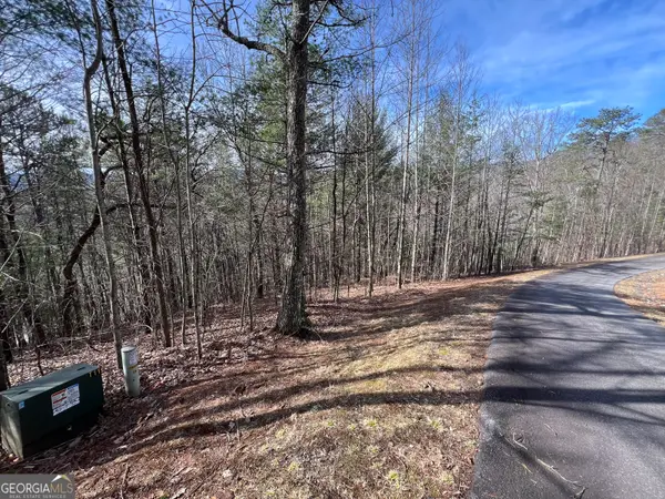 02.17AC LOT 11 Choestoe Trail, Blairsville, GA 30512