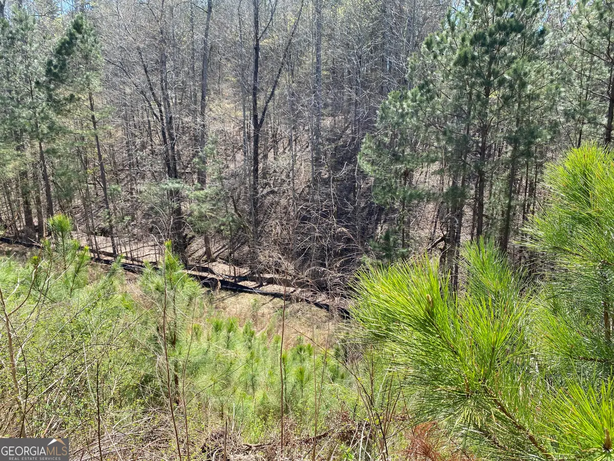 405 Trumpet Circle, Canton, GA 30114 - Image #1