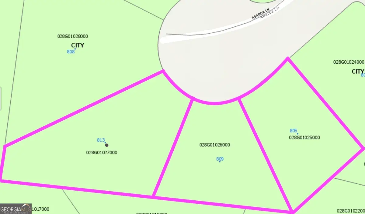 805 Abarca Lane, Stockbridge, GA 30281 - Image #1