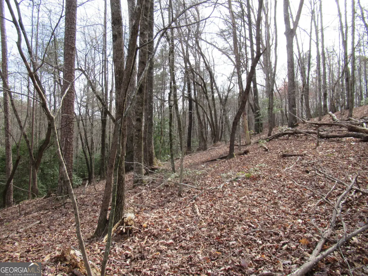 0 Long Branch Road, Dahlonega, GA 30533 - Image #1