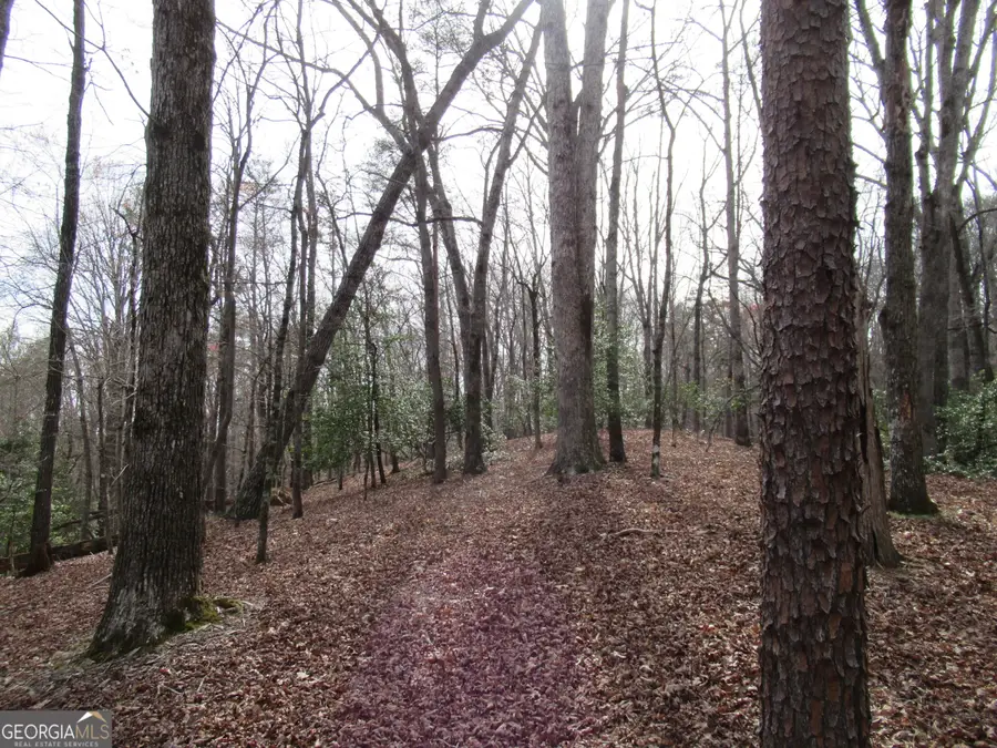 0 Long Branch Road, Dahlonega, GA 30533 - Image #3