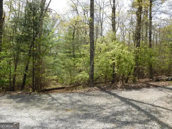 0 Dallas Lane, Blue Ridge, GA 30513