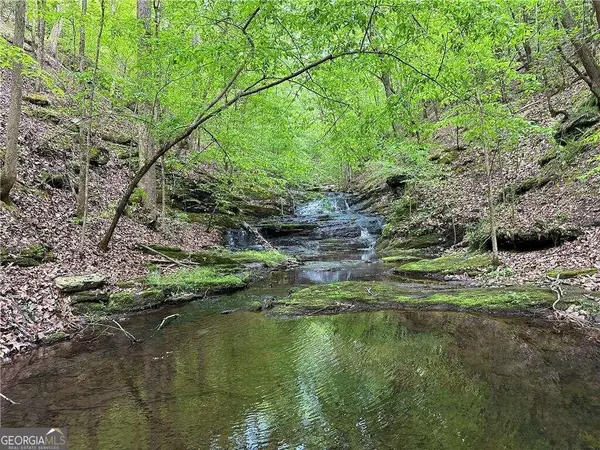 0 Paris Mountain Road, Rockmart, GA 30153