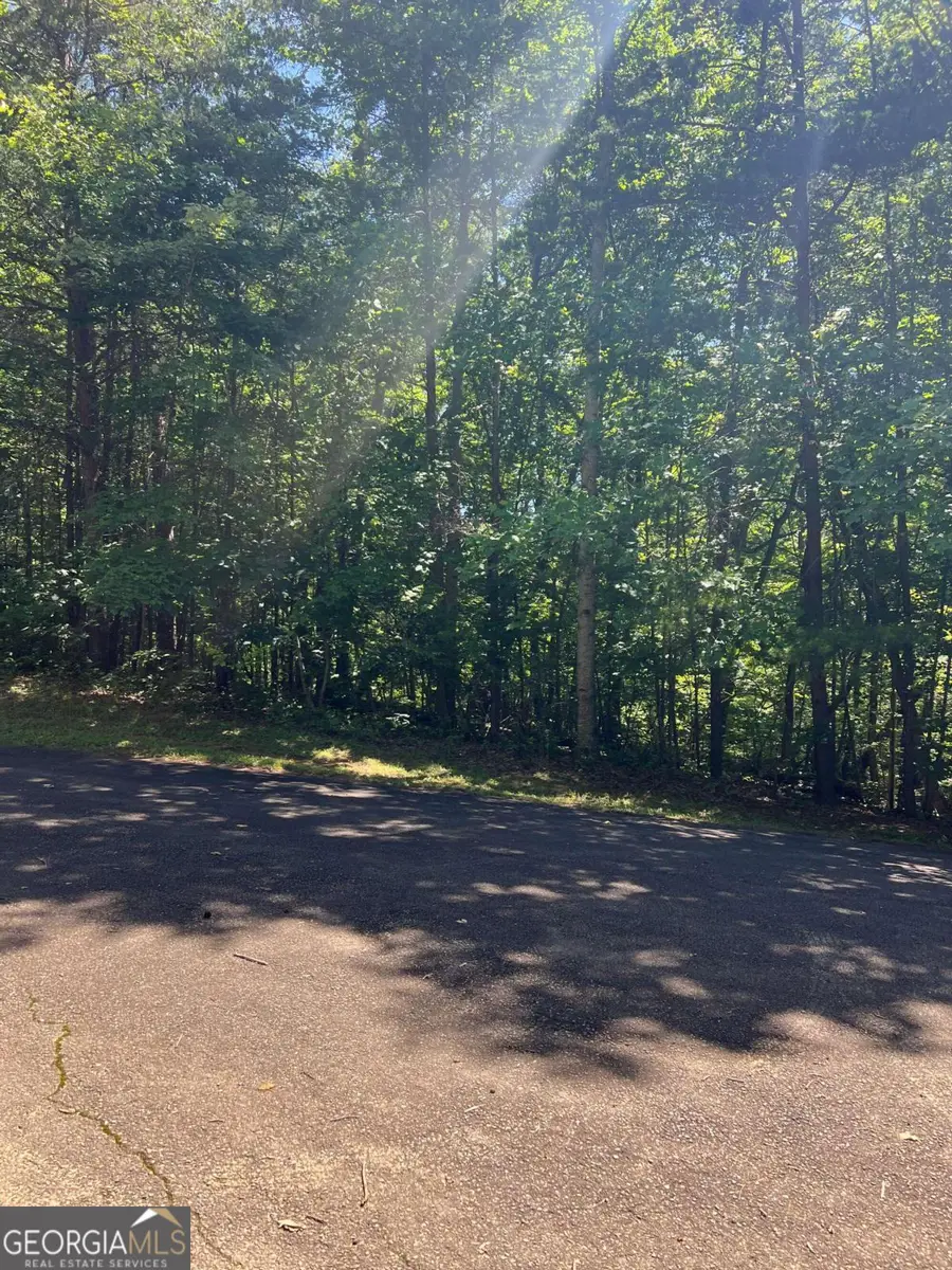 0 Oakland Court, Talking Rock, GA 30175 - #3