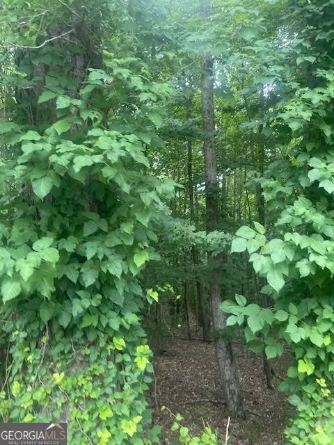 0 Butner Roads, Atlanta, GA 30331 - Image #2