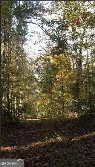 1047 Ponder Trammell Road, Juliette, GA 31046 - Image #3