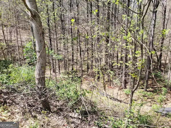 438 Fieldcrest Drive, Dallas, GA 30132