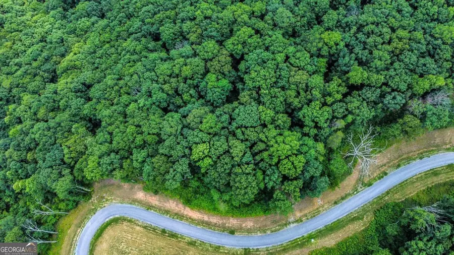 LOT 56 High Summit Drive, Talking Rock, GA 30175 - #3