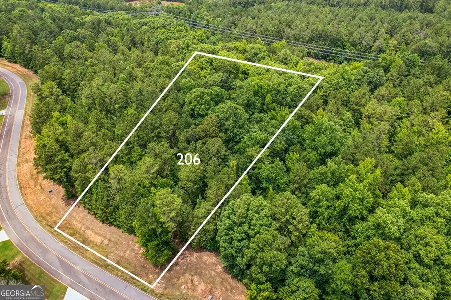 206 Crescent Drive, Forsyth, GA 31029 - Image #2