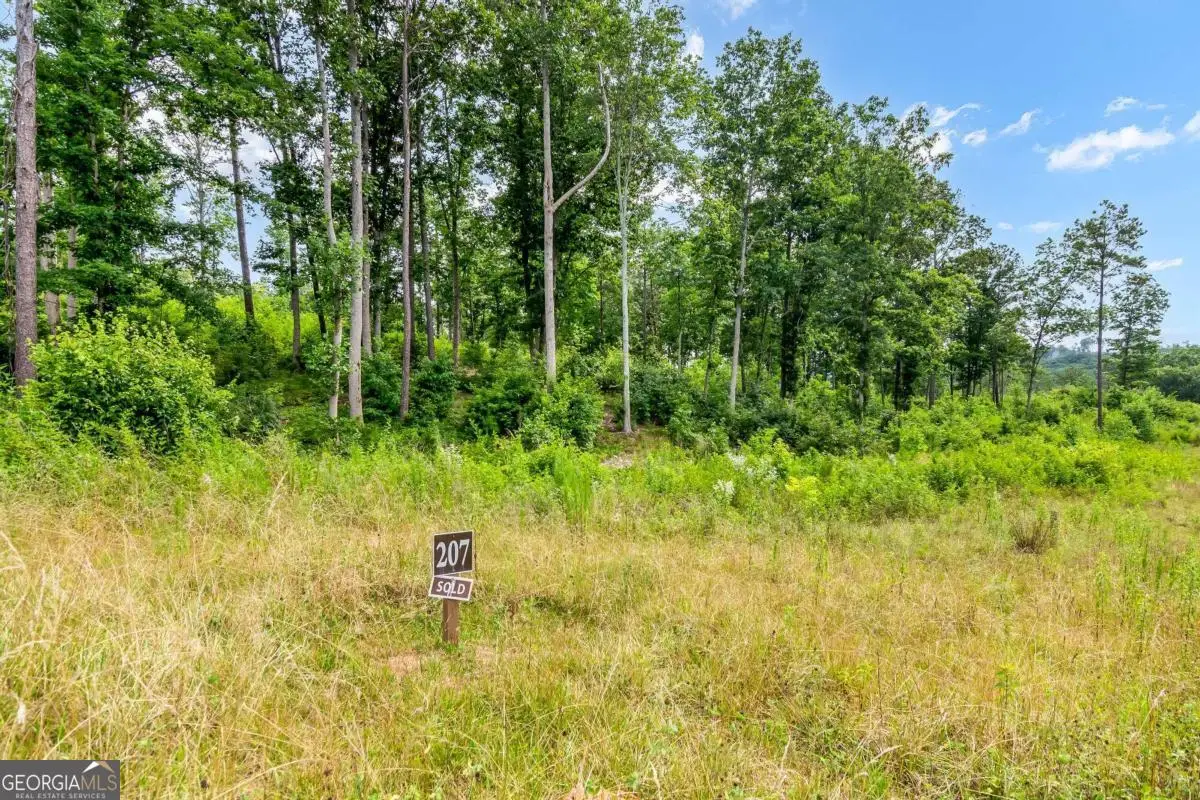 LOT 207 Oak Park Drive, Talking Rock, GA 30175 - #1