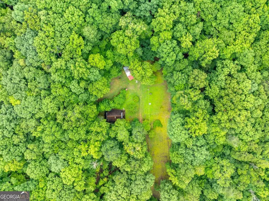 467 Gilliam Trail, Mineral Bluff, GA 30559 - Image #3