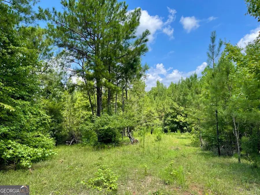 460 Welcome To Arnco Road, Newnan, GA 30263 - Image #2