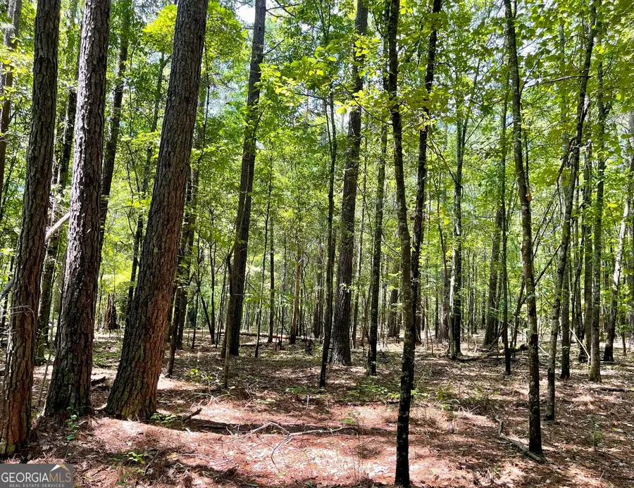 0 Welcome To Arnco Road, Newnan, GA 30263 - Image #2