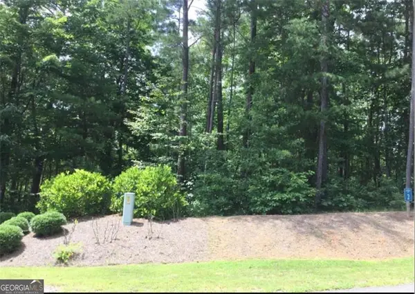 0 Harris Creek Drive, Ellijay, GA 30540