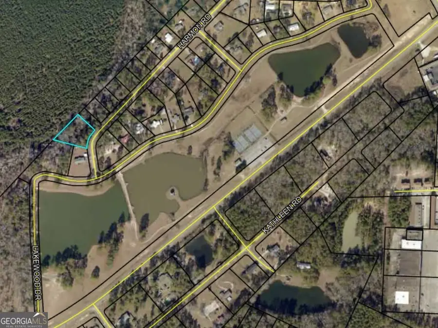 0 Harmon Road, Swainsboro, GA 30401 - Image #2