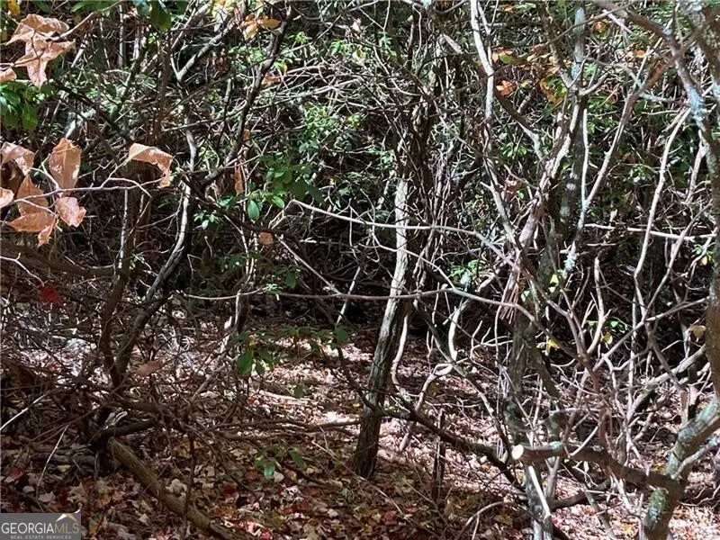 0 Prospector Place, Sautee Nacoochee, GA 30571 - Image #1