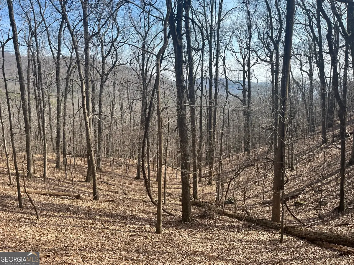 1400 Valley View Drive, Jasper, GA 30143 - Image #1