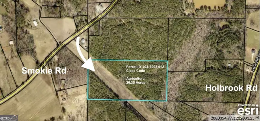 831 Holbrook Road, Newnan, GA 30263 - Image #2