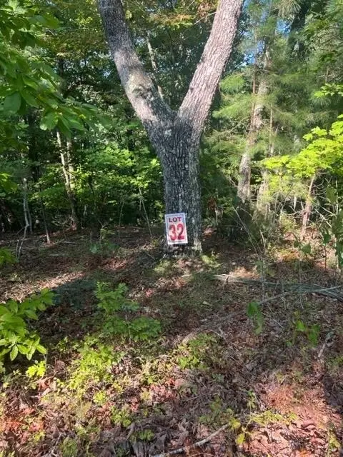 LT 32 Buck Creek Road, Ellijay, GA 30540 - Image #3