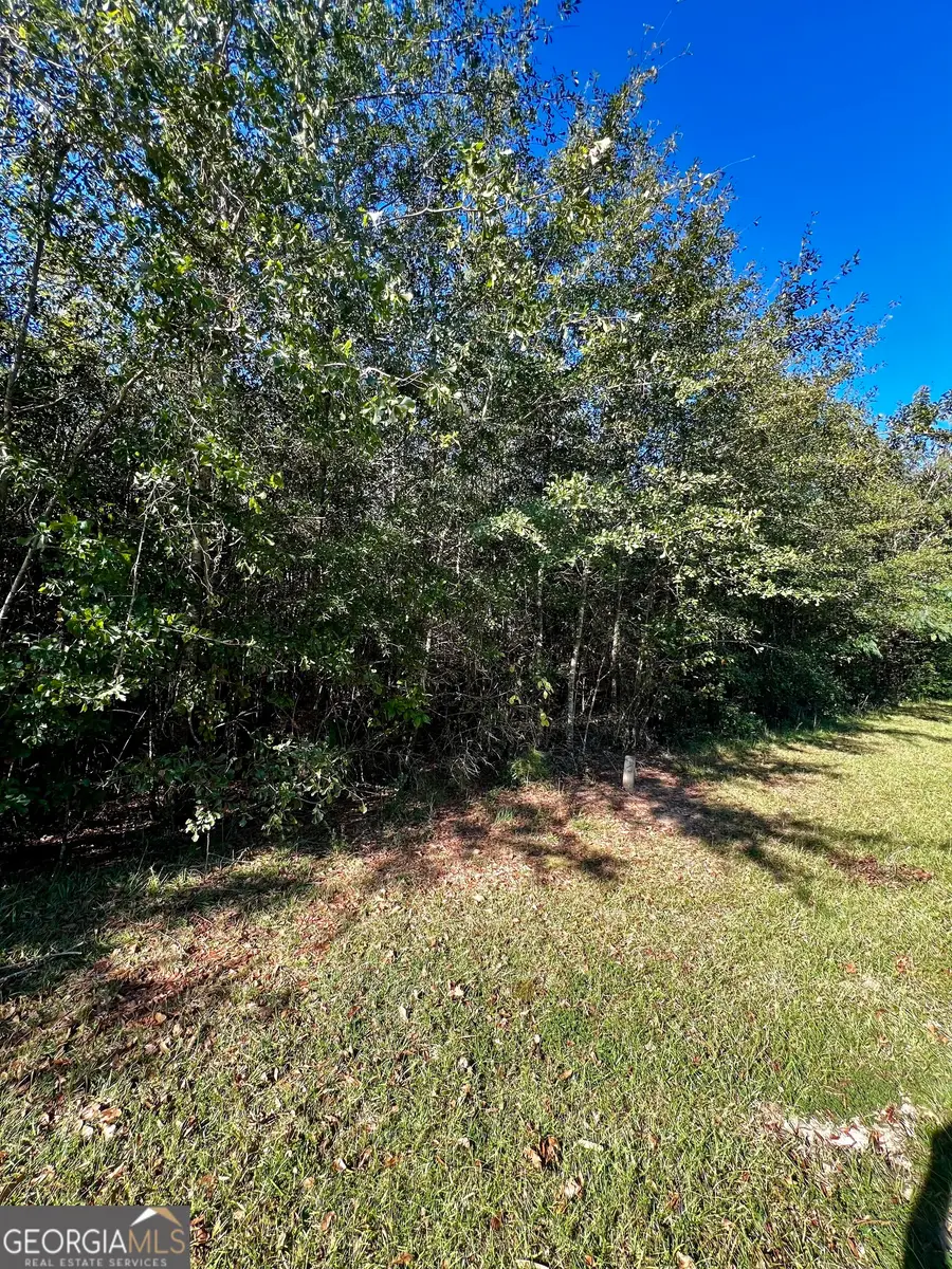 0 Brookhaven Drive, Dublin, GA 31021 - #2