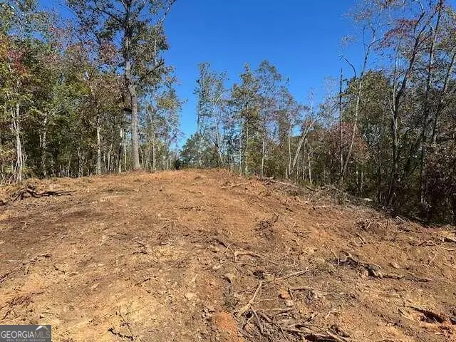 3.71 Yancy Drive, Dawsonville, GA 30534 - #1