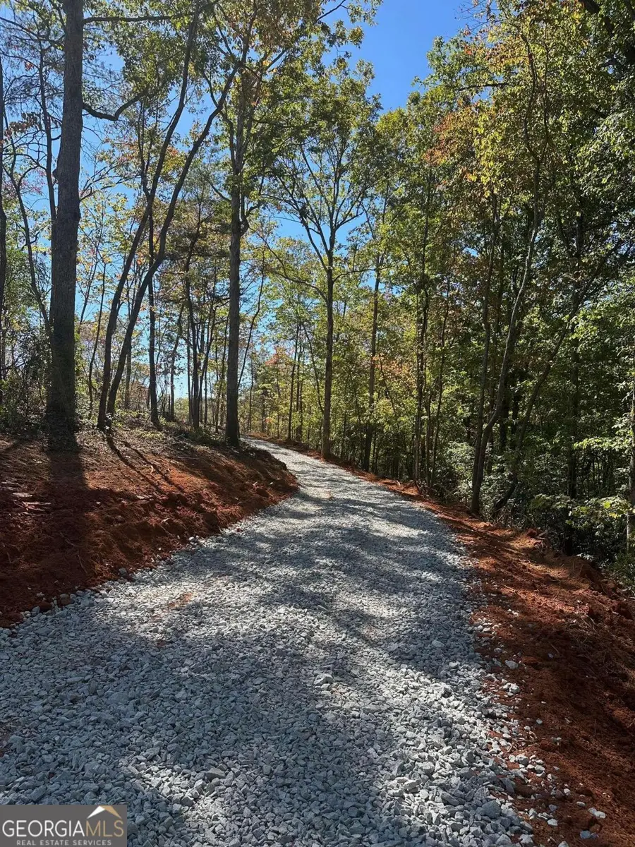 3.71 Yancy Drive, Dawsonville, GA 30534 - #2