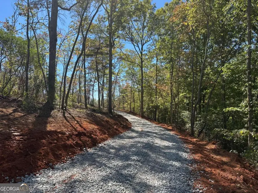 3.71 Yancy Drive, Dawsonville, GA 30534 - #3