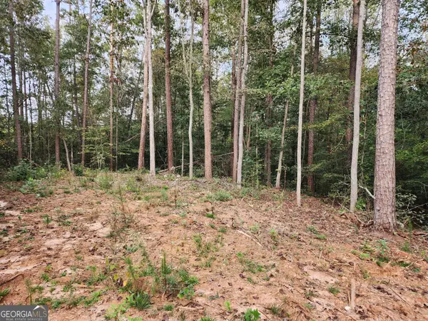 0 Morris Trail, Carnesville, GA 30521