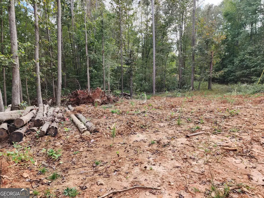 0 Morris Trail, Carnesville, GA 30521 - Image #2