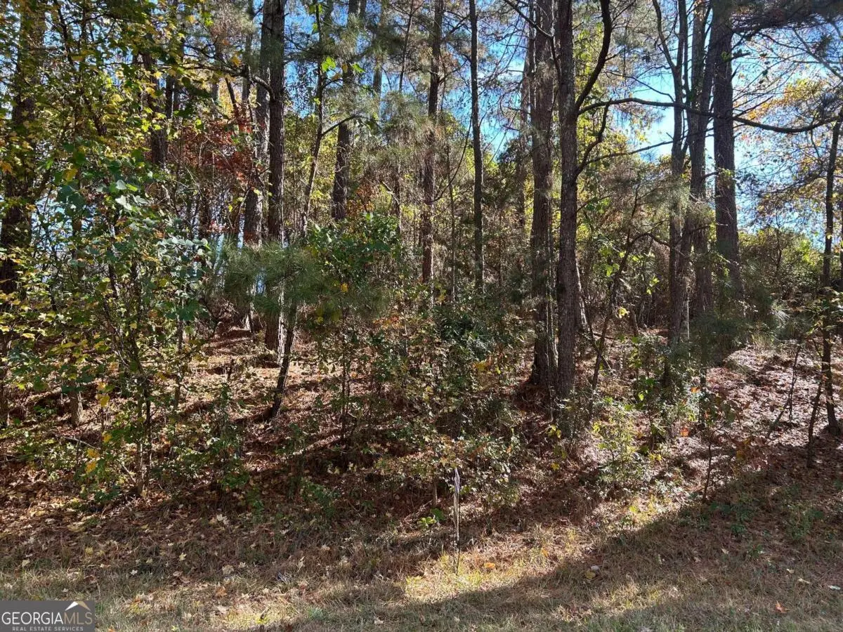 2090 Lee Peters Road, Loganville, GA 30052 - Image #1