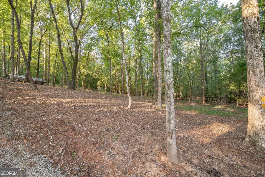 265 Dollar Road, Hamilton, GA 31811 - #3