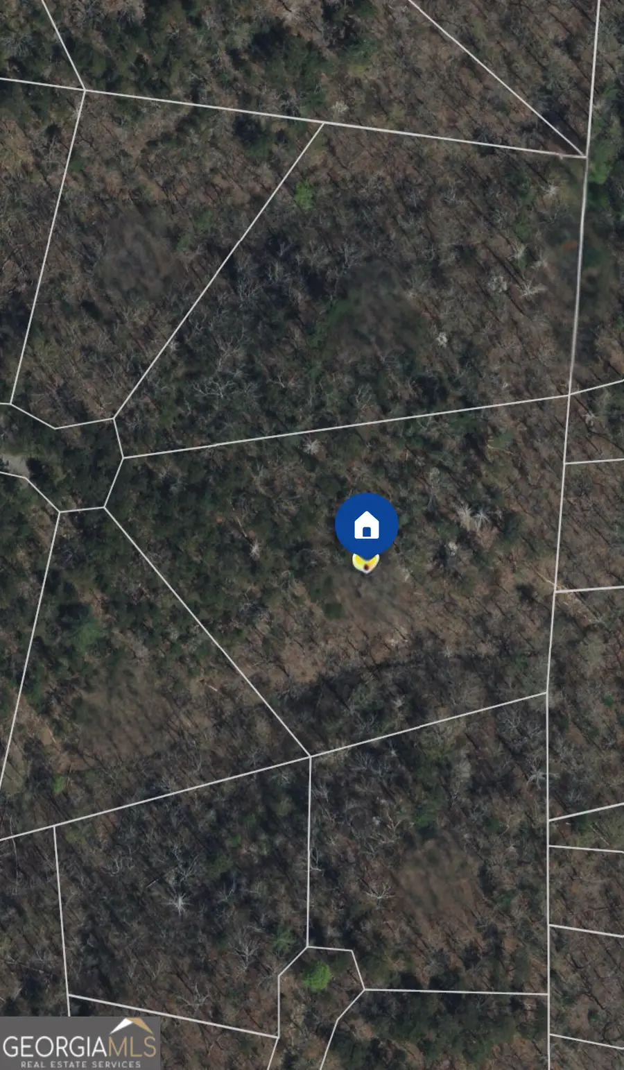 1037 Astro Court, Ranger, GA 30734 - Image #2