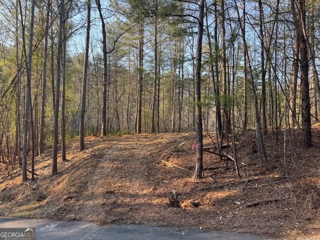 1767 Longbranch Drive, Ranger, GA 30734 - Image #1