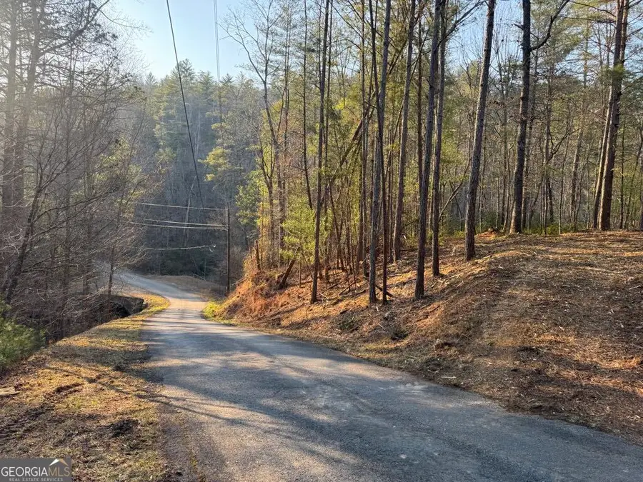 1767 Longbranch Drive, Ranger, GA 30734 - Image #2