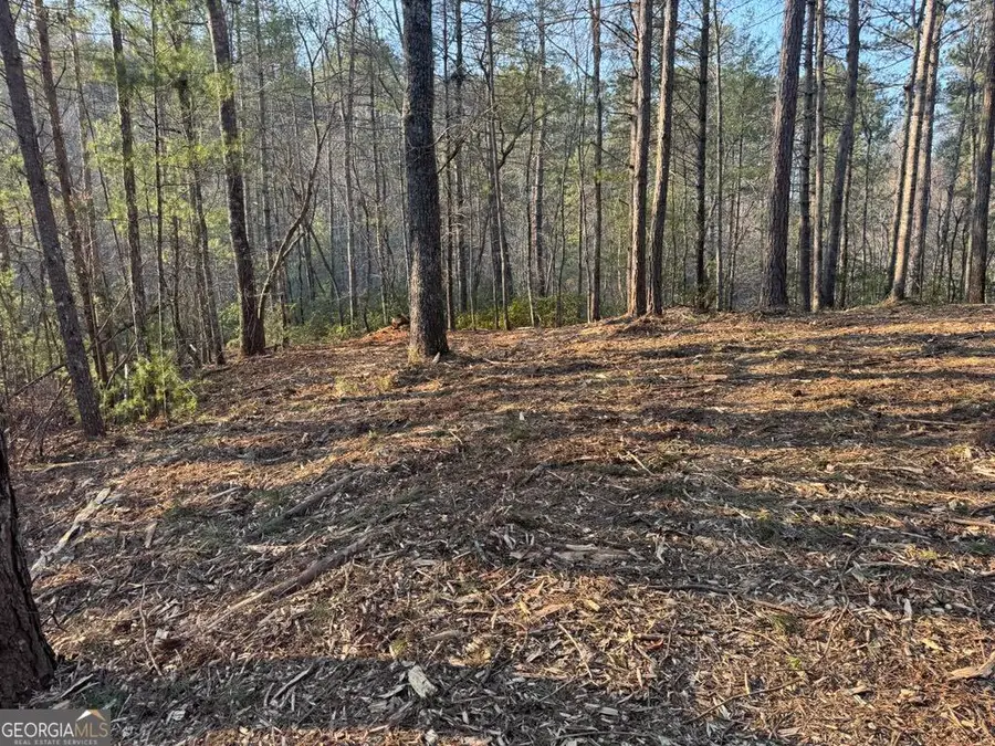 1767 Longbranch Drive, Ranger, GA 30734 - Image #3