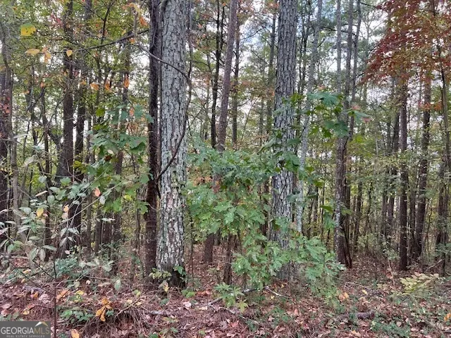 100 Valley View Drive Nw, Cartersville, GA 30121 - Image #2