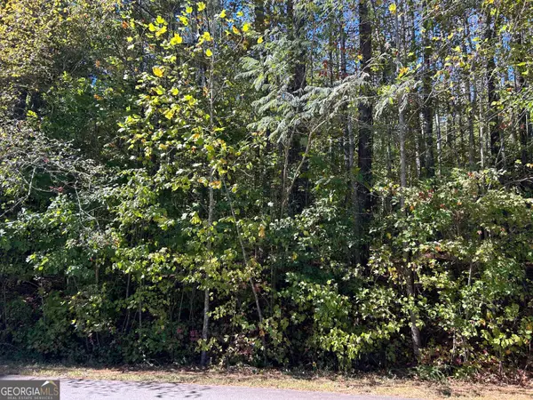 3598 Velma Drive, Powder Springs, GA 30127